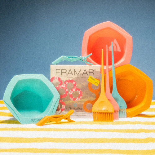 FRAMAR BAECATION KIT 5