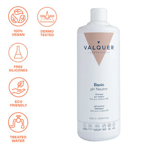 Valquer Basic Champú 2